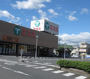 エコス東浅川店の画像1