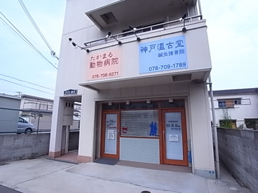 たかまる動物病院情報ページ 垂水 西区 明石のお部屋探しはホームメイトfc垂水東口店へ