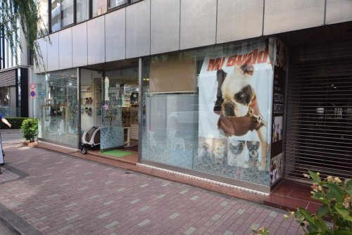 銀座ハウス Ginza House 賃貸特集ページ トレント