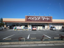 ベイシアマート 吉見店