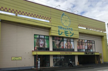 100えんハウスレモン 千代田店