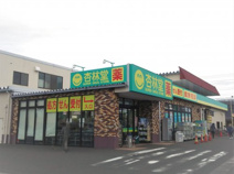 杏林堂薬局 静岡千代田店