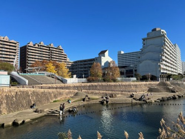 川辺公園の画像1