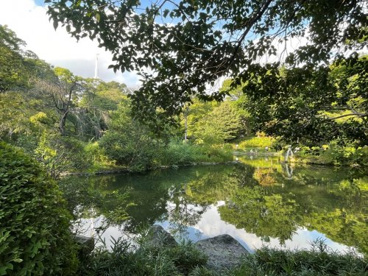 有栖川宮記念公園の画像2