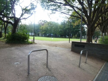 むさしの市民公園の画像1