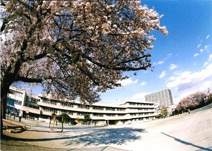 西東京市立田無小学校