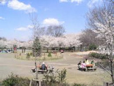 都立東村山中央公園