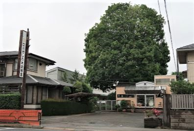 立川かしの木幼稚園の画像1