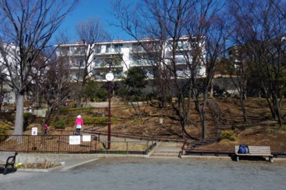 芹が谷台公園の画像1
