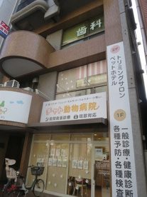 チャト動物病院情報ページ 上野エリアの賃貸管理 賃貸情報なら邦興商事