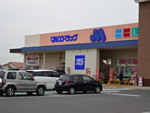 マルエドラッグ榛東店