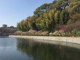 桃山公園