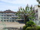 川越市立中央小学校の画像