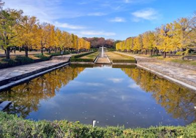 国営昭和記念公園の画像1