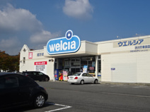 ウエルシア行幸田店