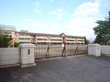 渋川南小学校の画像1
