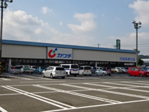 カワチ薬品 渋川店