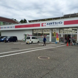 ココカラファイン大学前店