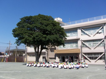 横須賀市立大津小学校の画像1