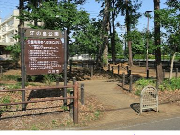 江の島公園の画像1
