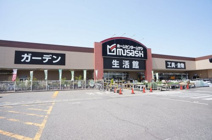 ホームセンタームサシ新津店