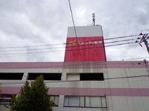 ベルシティ新津