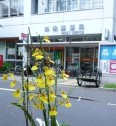 巣鴨郵便局の画像1