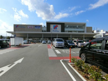 万代　上野芝店