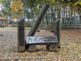 たけのこ公園