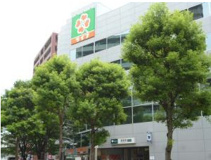 ライフ 篠崎店