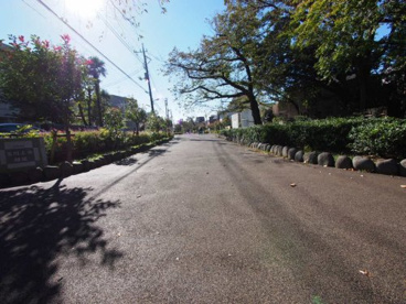 玉川上水緑道の画像1