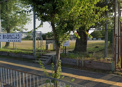 公園 清和台中央公園