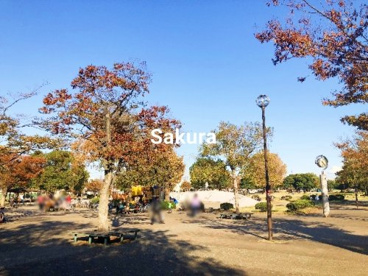 大師公園の画像1