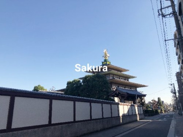 川崎大師（金剛山 金乗院 平間寺）の画像1