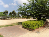 新公園