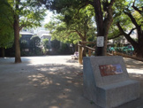 早稲田通り公園