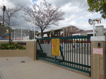 認定こども園六甲藤原台幼稚園