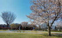 公園 見影橋公園