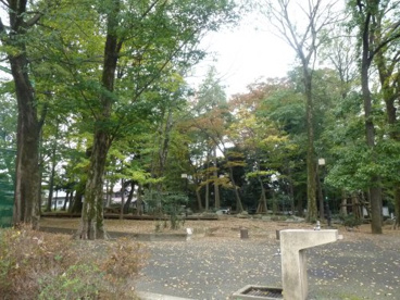 清水森公園の画像1