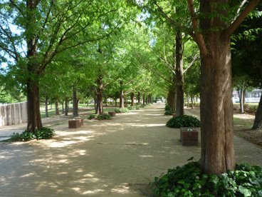 美薗中央公園の画像1
