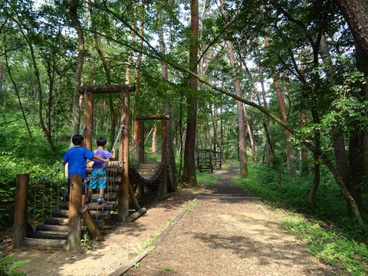 静岡県立森林公園の画像1