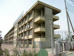 八尾市立龍華中学校の画像1