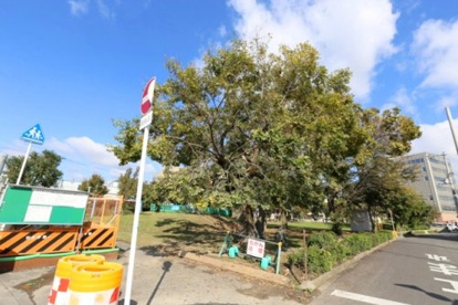 上新田公園の画像1