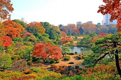 都立六義園の画像1