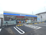 ローソン高津上作延店