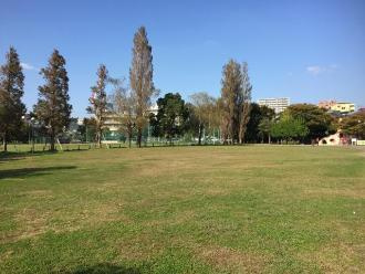 習志野市中央公園の画像1