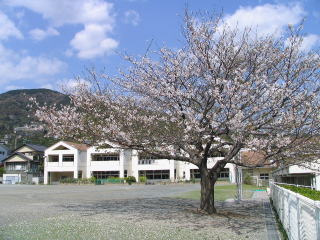 熱海市立多賀小学校の画像1