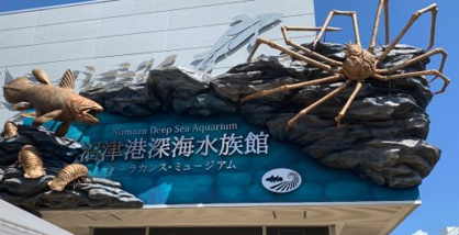沼津港深海水族館の画像1