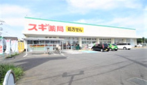 スギドラッグ 残堀店