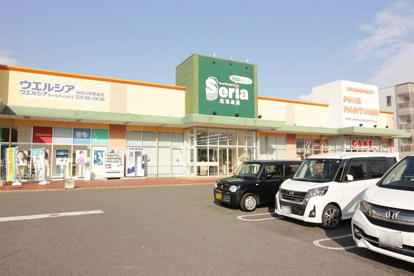 Seria(セリア) ピアシティみらい平店の画像1
